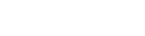 VIP CONNECTION LIMO